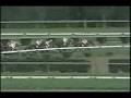 中山大障害・秋 1994年 ローズムーン