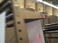 Gender Poster Printing on Web Offset Press