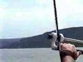Kitewinder Safety System