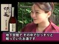 ネットプライス