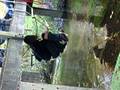 videos de Fran onder de brug =P
