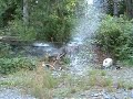 Shooting on a can of shaving foam