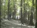 High Point - Hole 10 Ace - Disc Golf