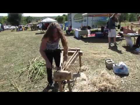 how to harvest abaca