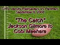 Cobi's Catch