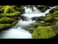 82 relaxing HD Landscapes Wallpapers \ Jeff Buckley - Hallelujah / ( HD )