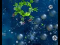 SPORE - Cell Stage