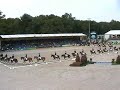 Chio 60 jaar Carrousel deel 1 Chio 60 jaar Carrousel deel 1