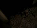 videos de Imagen 049.MOV