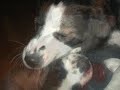 Maggy und Aika Maggy und Aika
