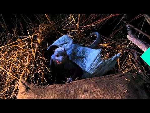 Eragon (1/5) Movie CLIP - Feeding a Dragon (2006) HD