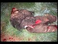 Bijelo Polje CG:( Place Za Ubijene Srbe Na Kosovu Bijelo Polje CG:( Place Za Ubijene Srbe Na Kosovu