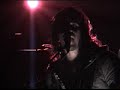 summerbirds in the cellar
