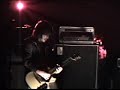 summerbirds in the cellar
