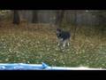 videos de 20081104165017.mpg