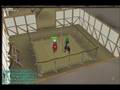rs fencing ring battling