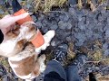 MOV00304.MPG