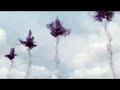 sony bravia lcd tv commercial uk