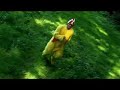 FIRST MASH UP DANCE VIDEOWhen you're trying to lip dub and forget the words... you're in a very dangerous position... Sorry for that mister L... Hope you'll enjoy it...virb.com/focusmatictweety song in frenchmy baby likes to boogaloo by Don Gardnersupplica a mia madre