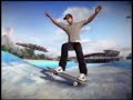 skate-demo-tricks-and-glitches-compilation.html