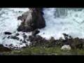 videos de Barney & Stella at the quarry