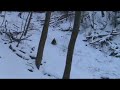 Konrad Sledding Blooper