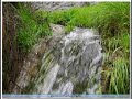 الباحة دوس منتزة عمضان