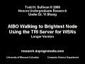 TRI/AIBO Walking Longer Demonstration