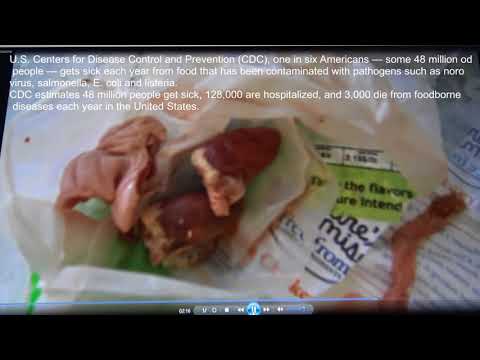 Natures Promise - Giant's Nature's Promise chicken contaminated with *** oozing out of an intestine included with giblets