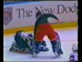 hockey goalie fight