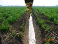 Aplicación de drenaje superficial en zonas inundables del trópico húmedo. Control de manto freático en suelos Vertisoles de Tabasco, Mexico. ... Perforación Drenaje Agua Agronomia Tabasco Vertisoles Dgeta Bedr Csat 