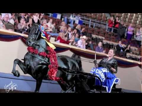 horses grand national