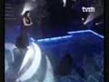 First Round - Group 5 [Super Song Contest 2008]
