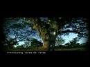 Timbi episodio 5 - Ceiba video