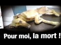 100 400 morts par an. Le Mot du Jour du 15 août 2010. 100 400 morts par an. Le Mot du Jour du 15 août 2010.