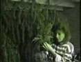 AMON DÜÜL II - VIVE LA TRANCE - Apocolyptic Bore
