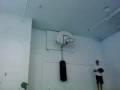 alley,ball,basketball