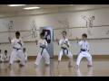 videos de Shotokan Karate -- Purple Belt Exam