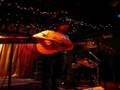 Devin Davis - The Turtle and the Flightless Bird