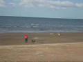 Hailuoto lure coursing