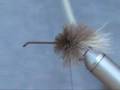 Dry Fly Atlantic Salmon Fishing