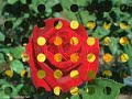 Sami Yusuf - Ya Mustafa