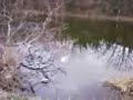 tapt péroxyde d\ tapt péroxyde d\