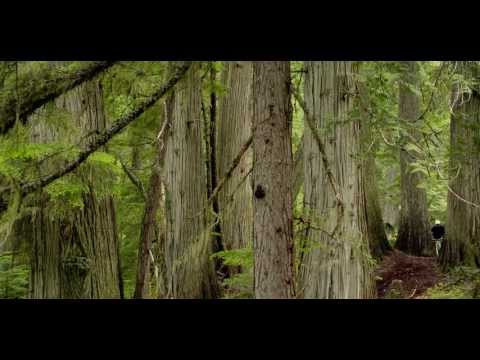 Mountain Essence - Mountain Biking Thumbnail of Video