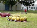 Fehring 4