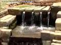Guarda video
