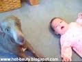 A?layan köpek A?layan köpek