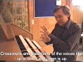 Orgel
