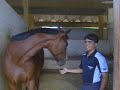 Promessa do hipismo de Brasília no Esporte Record DF Reportagem de Bruno Moraes Produção Camila Lopes