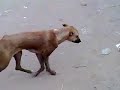 شكشكة جديدة واحلى تنكس هههههههههههه